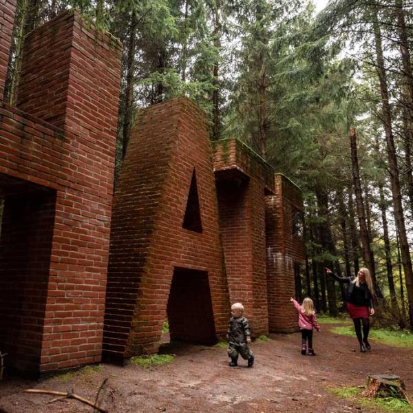 Deep Forest Art Land - Skovsnogen