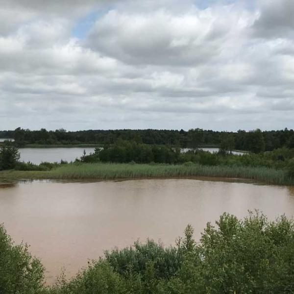 Søby Brunkulslejer