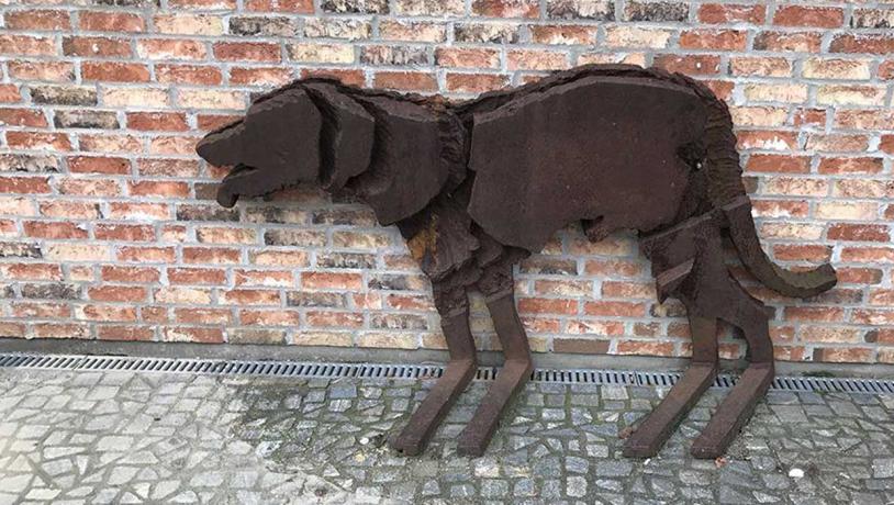 Skyggen af en hund