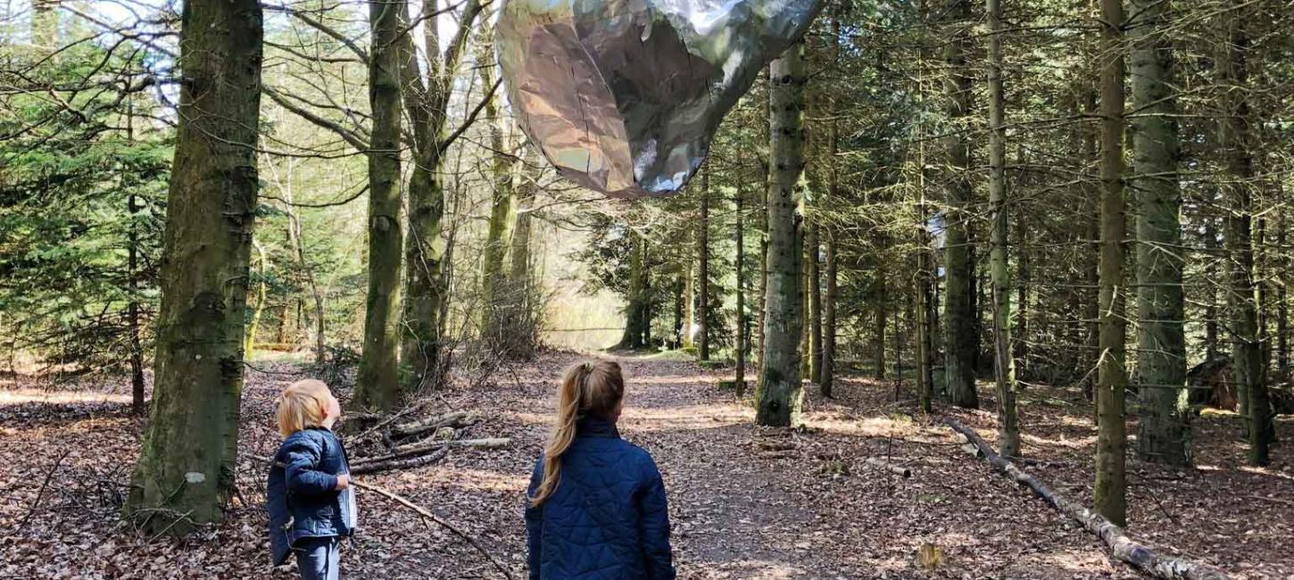 Deep Forest Art Land - Skovsnogen