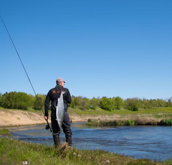 Skjern Å