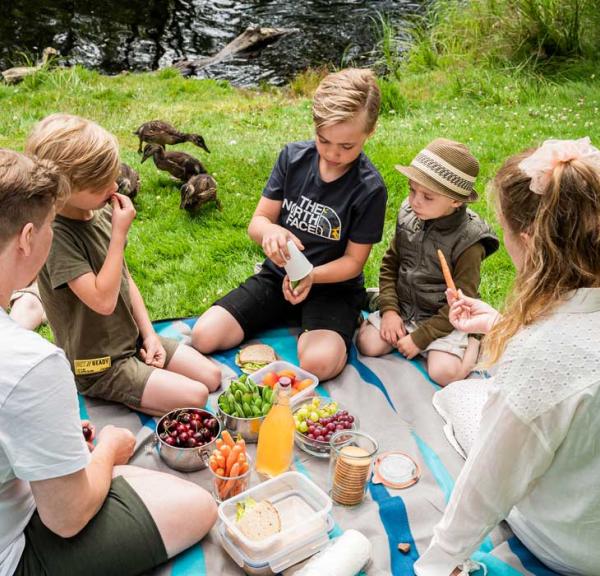 Sdr. Anlæg - familietur