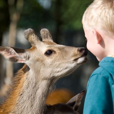 Jyllands Park Zoo