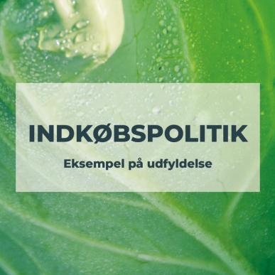 Indkøbspolitik - eksempel på udfyldelse
