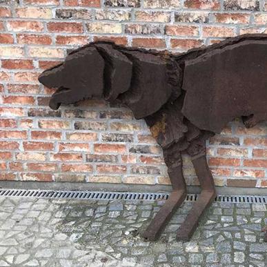 Skyggen af en hund