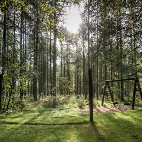 Skovlegeplads ved Hampen Sø