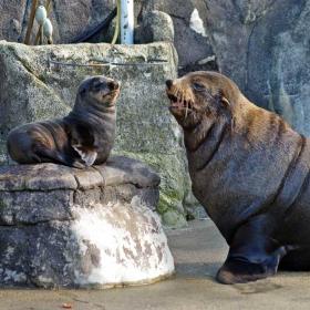 Jyllands Park Zoo