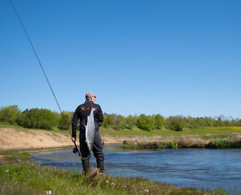 Skjern Å